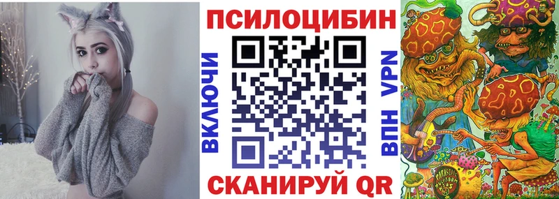 Купить  Тулун  Псилоцибиновые грибы Psilocybe 