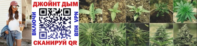 Конопля конопля  Купить закладки  Тулун 
